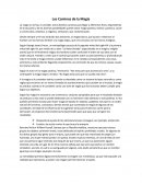 Los caminos de la magia..