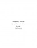 Relación sinérgica de la salud y el trabajo Fundamentos de la Prevención de Riesgos