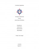 Productos especiales a base de carne, verduras o frutos secos, de acuerdo a la normatividad y aplicación de BPM.