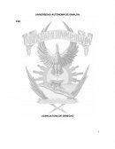 Ventajas y Desventajas del Cambio de IFE a INE.