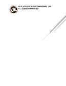 El alcoholismo en la parroqua Sevlla Don Bosco Barrio San Vicente