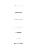 Riesgos sociales en internet.
