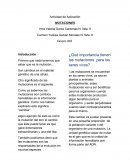 Aplicacion Genetica. ¿Qué importancia tienen las mutaciones para los seres vivos?