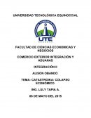 TEMA: CATASTROIKA: COLAPSO ECONÓMICO