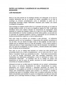 Entre las Cuerdas Aprendiz de Boxeador..