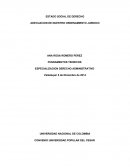ESTADO SOCIAL DE DERECHO. FUNDAMENTOS TEORICOS