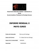 MODELO DE INFORME MENSUAL