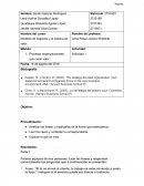 Procesos organizacionales que crean valor.