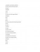 Barcos que vuelan.examen