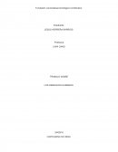 POSICIÓN DE NUESTRO PAÍS FRENTE A LA EVOLUCIÒN DE LA PROTECCIÓN DE LOS DERECHOS HUMANOS.