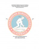 PROBLEMÁTICAS QUE AFRONTAN LAS SOCIEDAD FINANCIERAS Y BANCARIAS.