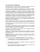 Cap. 3 Las personas y las Organizaciones