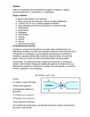 Definir la importancia de los aforadores de gasto en tuberías y calibrar experimentalmente un venturimetro y un diafragma.