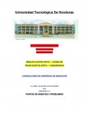 PUNTOS DE DEBATES Y PROBLEMAS.