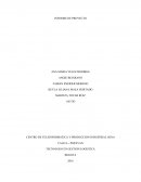 INFORME DE PROYECTO CENTRO DE TELEINFORMATICA Y PRODUCCION INDUSTRIAL SENA