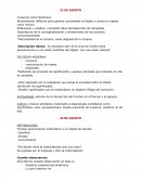 Antropologia del consumo clases.