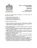 El Comité de Asuntos Aduaneros, Arancelarios y de Comercio Exterior
