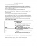 Terrazas de cultivo INCA.