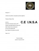 Practica de laboratorio - Compuestos químicos orgánicos