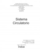 Anatomía Humana - Sistema Circulatorio
