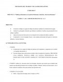 PSICOLOGÍA DEL TRABAJO Y DE LAS ORGANIZACIONES