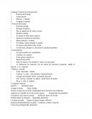 Lenguaje Corporal en comunicación.