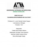 Elaboración de medios de cultivos