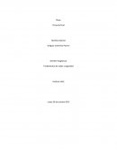 Tema- Fundamentos de redes y seguridad.