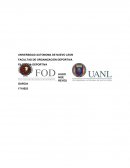 FUTBOL MODERNO, ENSAYO.