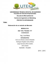 PROYECTO INTEGRADOR... Página 1