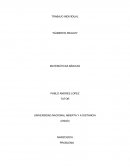 TRABAJO INDIVIDUAL “NÚMEROS REALES” MATEMÁTICAS BÁSICAS