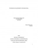 PROGRAMAS DE MEJORAMIENTO ORGANIZACIONAL.