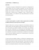CASO TEMA 1 - FUNDICIA S.A.