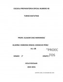 Ensayo "Los valores".