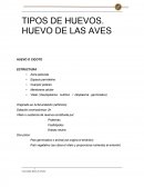 TIPOS DE HUEVOS. HUEVO DE LAS AVES