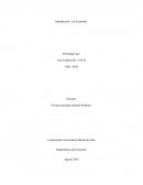 La importancia de la economía en el ser humano y en la sociedad.