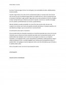 Como hacer un arroz y sudar un bocachico por WJVP.