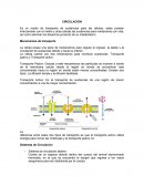 CIRCULACIÓN Es un medio de transporte de sustancias para las células, estas pueden intercambiar con el medio y otras células las sustancias para mantenerse con vida, así como eliminar los desechos producto de su metabolismo.