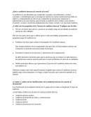 ¿Qué es auditoria interna (de acuerdo al texto)?