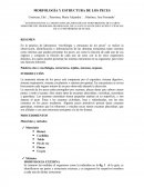 ESTUDIANTES DE LA ASIGNATURA DE ZOOLOGÍA DE VERTEBRADOS, DE CUARTO SEMESTRE DEL PROGRAMA DE BIOLOGÍA, DE LA FACULTAD DE EDUCACIÓN Y CIENCIAS DE LA UNIVERSIDAD DE SUCRE..