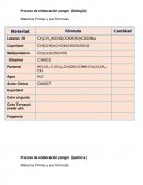 Proceso de elaboración yonger (biología)