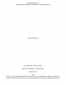 NOCHES BLANCAS - AREA DE ESPAÑOL Y LITERATURA