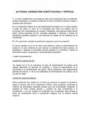 Actividad Jurisdicción constitucional y especial