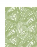 MERCADO DEL PLATANO EN COLOMBIA