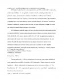 CAPÍTULO IV. DISEÑO TEÓRICO DE LA PROPUESTA DE MEJORA.