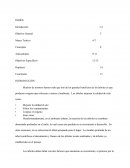 Muchos de nosotros hemos oído que uno de los grandes beneficios de los árboles es que producen oxígeno que refrescan y nutren el ambiente. Los árboles mejoran la calidad de vida como