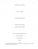 Borrador del Artículo Académico El D.I.M. y sus Hinchas