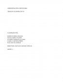 LA COMUNIDAD INDIGENA ARHUACA ASENTADA EN EL MUNICIPIO DE PUEBLO BELLO, CESAR