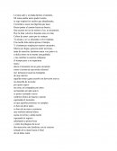 La luna salió y un hada durmio al instante.