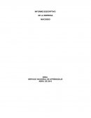 INFORME DESCRIPTIVO DE LA EMPRESA MACONDO